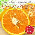 みかん なつみ カラマンダリン お試しサイズ 約2kg 愛媛産 送料無料 産地直送 柑橘 フルーツ 果物