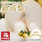 梨 新高梨 なし ナシ にいたかなし 約2.5kg 約4~7玉 訳あり 愛媛県産 送料無料 産地直送 フルーツ 果物 予約商品