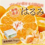商品画像3