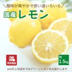 レモン 約1.5kg お試し 国産 愛媛産 送料無料 産地直送 柑橘 フルーツ 果物 防腐剤 防カビ剤 不使用 ノンワックス 予約商品