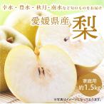 梨 なし ナシ 幸水 豊水 秋月 南水 約1.5kg お試し 約3~6玉 家庭用 愛媛県産 送料無料 産地直送 フルーツ 果物 敬老の日 プレゼント 70代 80代