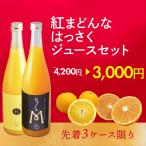 大特価 先着3ケース 紅まどんな はっさく ジュース 2本組 みかんジュース ストレートジュース お中元