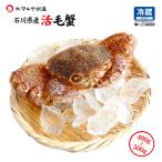 毛ガニ 毛蟹 活蟹 1匹 500g〜400g (石川県産) 活きたままお届け可能 贈答 ギフト お取り寄せ 産地直送 送料無料