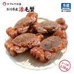 毛ガニ 毛蟹 訳あり 3〜5匹 1.5kg セット 石川県産 活蟹 or 茹で蟹 未冷凍品 加賀 能登 贈答 ギフト 通販 お取り寄せ 産地直送 送料無料