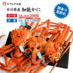 11/10以降出荷 カニ かに 蟹 ズワイガニ ずわい蟹 加能かに 訳あり 足折れ 石川県産 3匹 合計2.0kg以上 青タグ付き 茹で蟹 活蟹 生カニお届け可能 送料無料