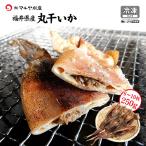 丸干いか(もみいか/するめいかの丸干し)熟成わた入り 福井県産：約250g 7〜10枚 5袋以上のご注文で送料無料