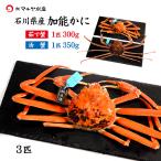 11/10以降出荷 カニ かに 蟹 ズワイガニ ずわい蟹 加能かに 石川県産 3匹 合計900g以上 青タグ付き 茹で蟹 活蟹 生カニお届け可能 産地直送 お取寄せ 送料無料