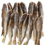 氷下魚(こまい) 小サイズ 約280g(9〜13尾) 北海道産 コマイ 魚 干し カンカイ 珍味 おつまみ