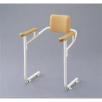 TOTO для туалета поручень ( система модель ) [EWCS222-12] для туалета поручень ( система модель )?.. соус есть комплект номер товара 