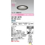 エクステリアライト オーデリック OD261827R