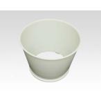  Tiger термос [SMX1160] моти порез .<.. моти kun > hopper 