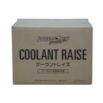 DAYTONA Pro-Spec　クーラントレイズ　高性能消泡剤配合ラジエーター用クーラント添加剤 250ml×12本