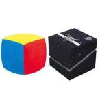 10レイヤーキューブ 教育のおもちゃマジックキューブパズル10x10x10ハイレベル難しい教育ねじれの知恵玩具