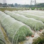 防虫ネット 園芸 防鳥ネット 防虫メ