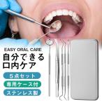 即納 歯石取り 歯石とり 器具 5点セット 歯石除去 歯石オーラルケア 歯垢スケーラー 自分で取る ヤニ取り デンタルミラー 犬 デンタルケア デンタルスケーラー