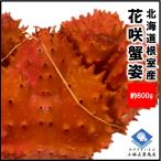 花咲ガニ 花咲がに 花咲蟹 北海道産 浜茹で花咲ガニ 1杯約600g 条件付き送料無料