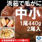 【2022年物】北海道産 浜茹で毛ガニ １杯約440g 中小サイズ 2杯入 最上級品 堅ガニ ギフト 条件付き送料無料 お取り寄せ