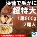 【新物入荷】毛がに 毛ガニ 北海道産 浜茹で毛ガニ １杯約800g ２杯入 超特大サイズ 最上級品 堅ガニ ギフト 条件付き送料無料 お歳暮
