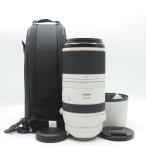 【ほぼ新品】Canon 望遠レンズ RF100-500mm F4.5-7.1 L IS USM フルサイズ対応 RF100-500LIS