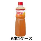 ショッピングマヨネーズ ケンコーマヨネーズケンコー 実がたっぷり柑橘ドレッシング 1Ｌ ペット 6本 1ケース ドレッシング 業務用