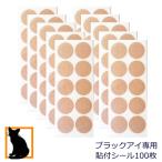  Maruyama тип пружина черный I специальный наклеен наклейка 50 листов ×2 пакет наклейка плечо поясница колени глаз изначальный .. relax Maruyama .. купальный час тоже облупленное место трудно почтовая доставка специальный 