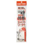 景山産業 ふぐカットウリーダー 外房・常磐用 2本針【ゆうパケット】