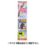 がまかつ 2本ヤナギ仕掛 G-HARD V2 メガ要チラシ 針11号-ハリス3号 AY131【ゆうパケット】