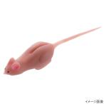 ティムコ ワーム クリッタータックル 野良ネズミ #25ネズミミズ【ゆうパケット】