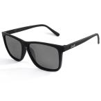 ダンシェイディーズ 偏光グラス RECOIL Black Soft/Black Smoke Polarized