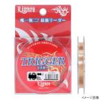 トリガー 30m 16lb ミストブラウン【ゆうパケット】