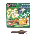 エコギア ワーム アクア 活チヌシュリンプ40 A26(湾奥マッド)【ゆうパケット】