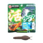 エコギア ワーム アクア 活チヌシュリンプ50 A26(湾奥マッド)【ゆうパケット】