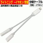 ライトニング ケーブル 変換 ケーブル Lightning 分岐 充電 通話 イヤホン iPhone 7 8 X XR XS 11 12 アダプタ コネクタ 変更 切替