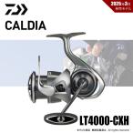 【半期決算】限定セール 40％OFF ダイワ 25 カルディア LT4000-CXH 送料無料