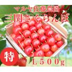  вишня Sato . Special L500g бесплатная доставка Yuzawa город три . maru ya Sato сельское хозяйство .