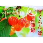  вишня Sato . превосходящий 2L 500g бесплатная доставка Yuzawa город три . maru ya Sato сельское хозяйство .