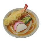 直送 日本職人が作る 食品サンプル 天ぷらうどん IP-427