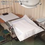 直送 竹虎 ラミノンシーツ10 滅菌済 分娩台シーツ 防水カバー付 054310