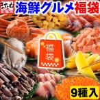 福袋 限定300個 13800円⇒早割12800円 海鮮グルメ豪華9種福袋 約3kg かに 牡蠣 エビ イクラ イカ ウニ サーモン まぐろ 同梱不可 魚介類 海産物 海鮮