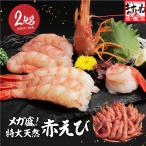 プレミアム会員なら4380円 お刺身OK 特大 天然 赤えび生2kg 赤海老 50〜60尾 1尾約18cm 赤エビ 塩焼き 手巻き寿司 天ぷら エビフライ ギフト