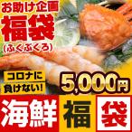 ※完売御礼※ 復袋 福袋 海鮮グルメの詰め合わせ5000円セット(蟹 えび 干物 おまかせ 計1.2kg 海外産も含む）同梱不可 冷凍便 送料無料