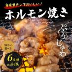 ショッピング焼肉 50%OFFクーポン有 父の日 ギフト 肉 ホルモン 焼き肉 焼肉 ホルモン焼き 約840g 6人前 選べるタレ2種 たれ漬 もつ焼き ショウチョウ 大腸 小腸 シマチョウ BBQ