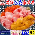 本マグロ まぐろ 大とろウニいくら海鮮丼3人前 大トロ100g 北海道いくら80g ウニ無添加100g イクラ 刺身OK 同梱不可 あすつく不可