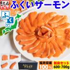 サーモン ギフト 数量限定 国産 無添加 ふくいサーモンお刺身 600~700g 刺し身 刺身 寿司 手巻き寿司 西京漬け 炙り 焼き魚 魚介類 海産物 贈答
