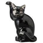 .. Edo ширина кошка платина 