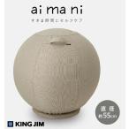 KING JIM キングジム 台座付きバランスボール aimani アイマニ サンドベージュ 55cm AHC030-BE