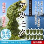 送料無料！宮城県 南三陸産無添加・無着色アカモク(ぎばさ)100g×10パック