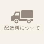 追加料金用　追加送料用　割引き用　ベルト用　スマートウォッチの替えバンド　部品