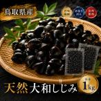 shi.. натуральный Yamato корбикула 1kg суп мисо. ... рефрижератор песок вытащенный завершено Tottori префектура озеро гора . производство . имеется Yamato корбикула .. тест ... сделал . толщина производство прямой Nakamura магазин День почитания пожилых людей подарок подарок по случаю конца года 