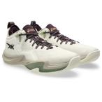  купон объект Asics nova волна low 2 NOVA SURGE LOW 2 1061A051-250 баскетбол обувь OATMEAL/DARK AUBERGINE